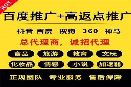 SEM投放策略：成功案例解析